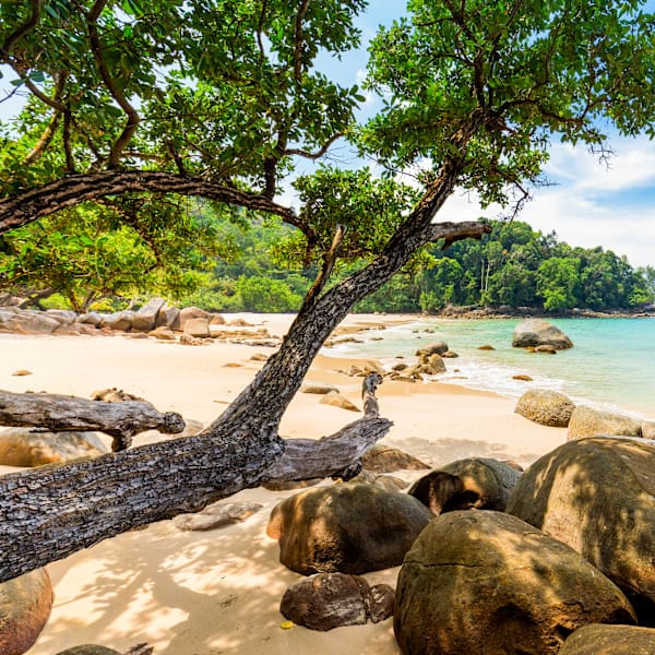 Thailands highlights: Bangkok, Chiang Mai & Khao Lak